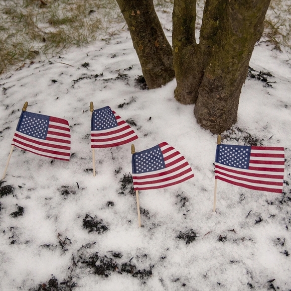 Betsy Flags Eight 4" x 6" U.S. Flags - Picture 7 of 7